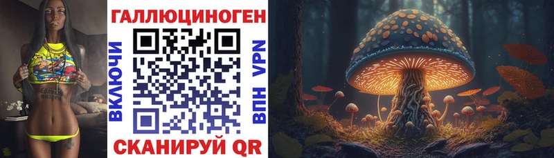 Псилоцибиновые грибы прущие грибы  Балтийск 