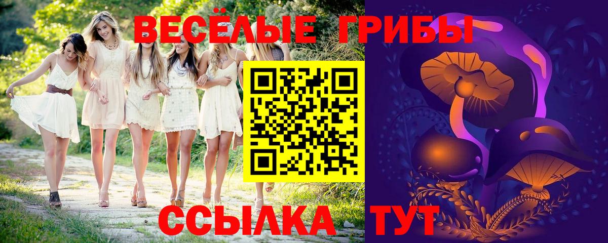 Балтийск  Псилоцибиновые грибы мухоморы  Псилоцибиновые грибы MAGIC MUSHROOMS  Вход с VPN 