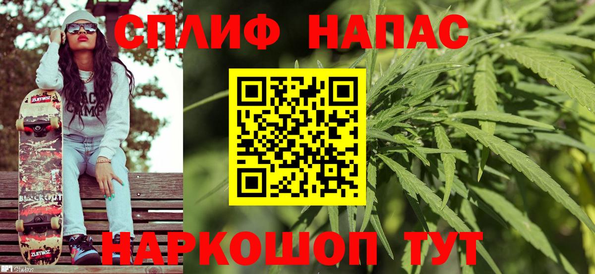 Конопля семена Балтийск